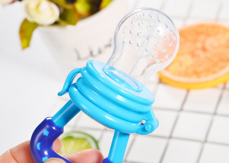 Fresh Food Pacifier Feeder