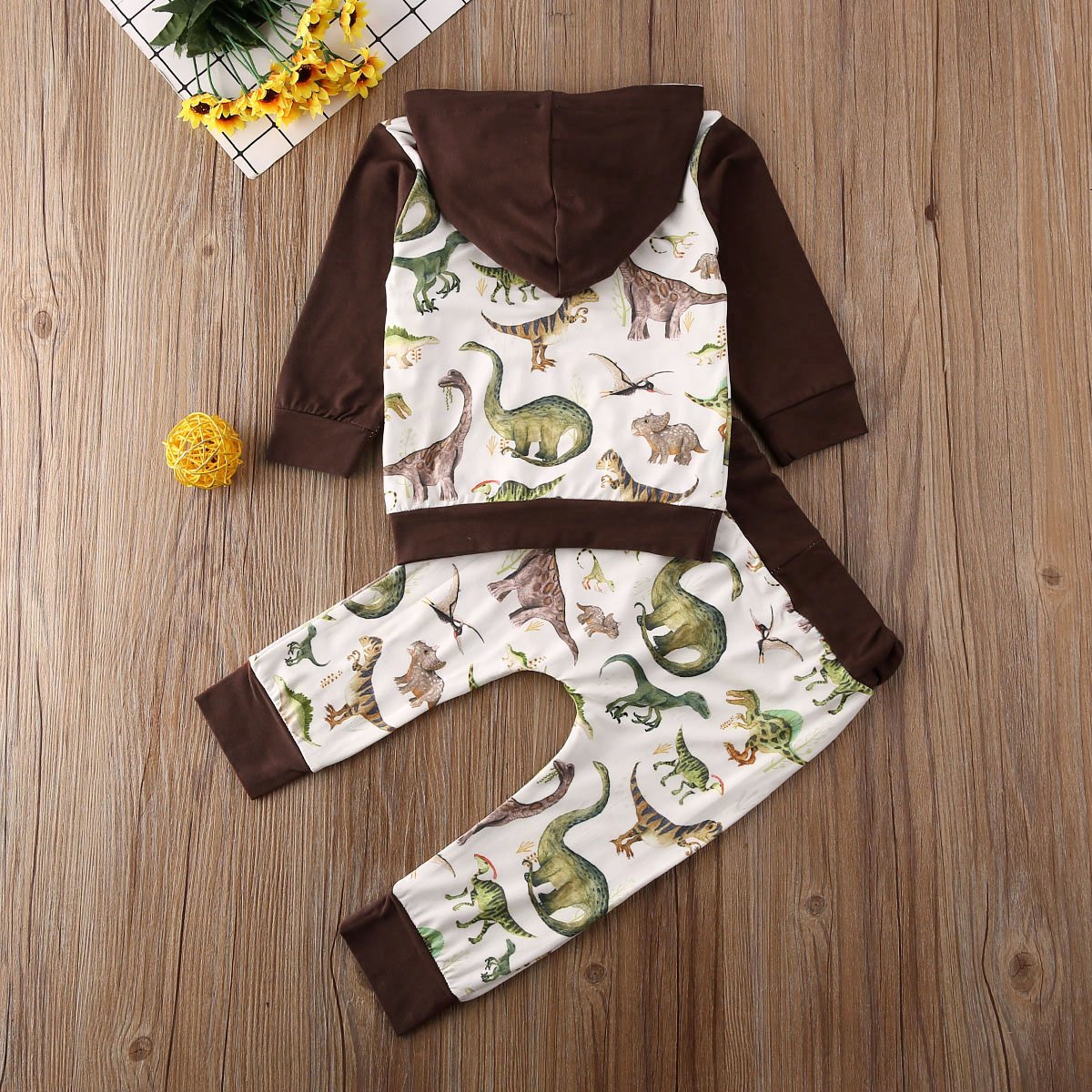 Boys Dinosaur Outfit