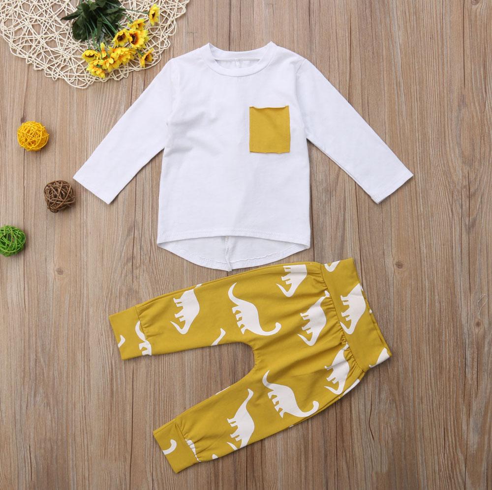 Long Sleeve Dinosaur Top & Pants Outfit