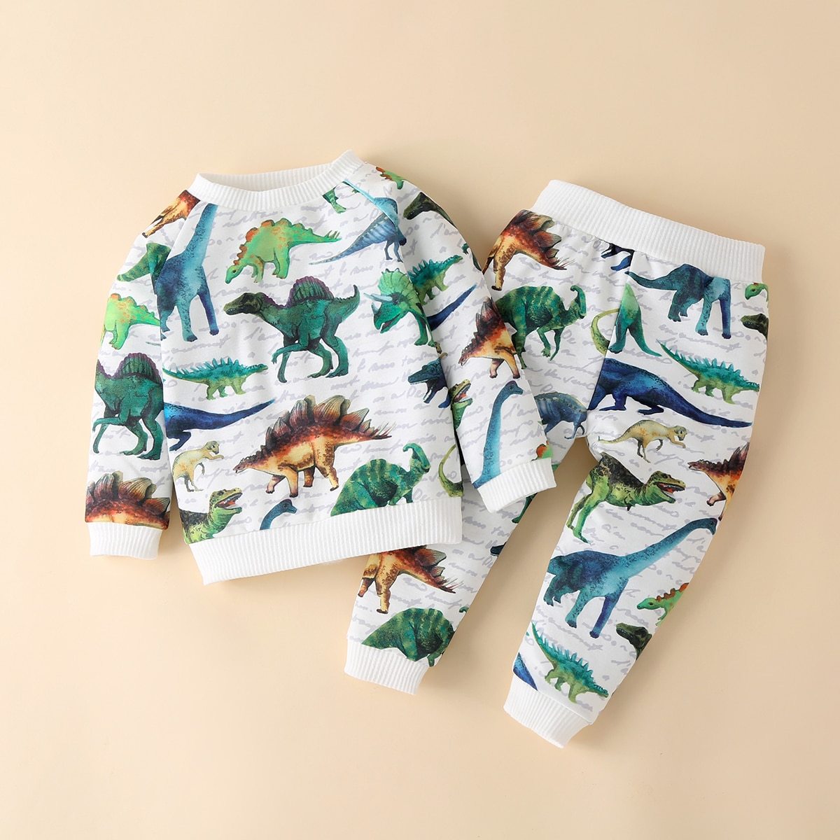 Matching Dinosaur Shirt and Pants Set