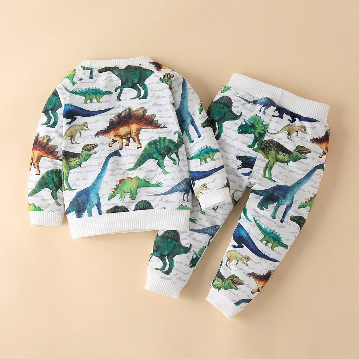 Matching Dinosaur Shirt and Pants Set