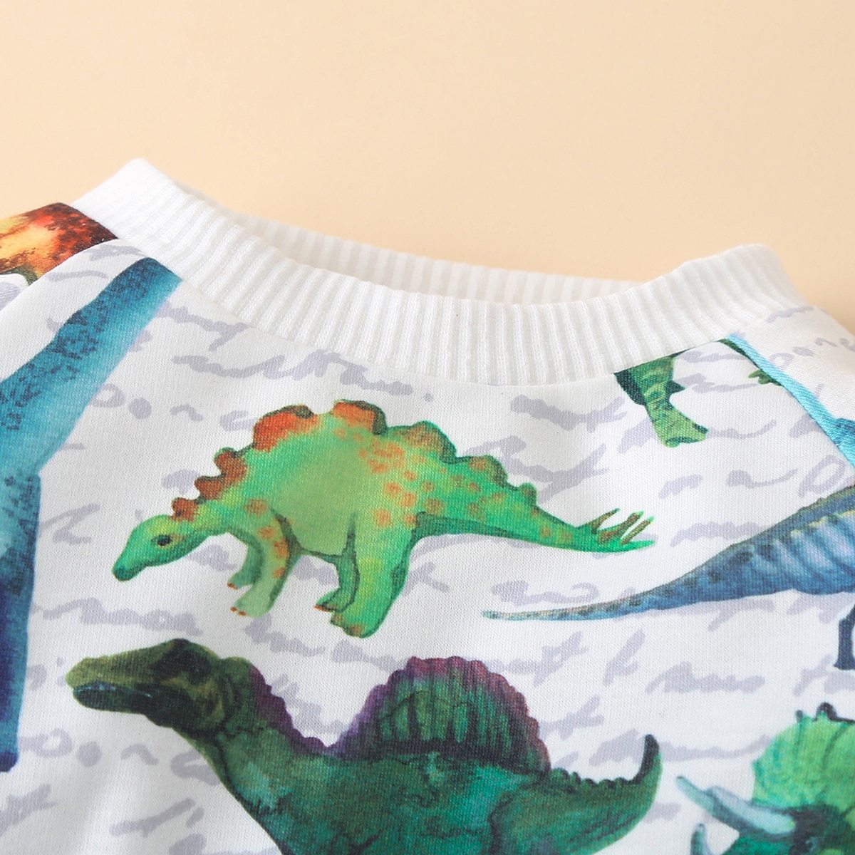 Matching Dinosaur Shirt and Pants Set